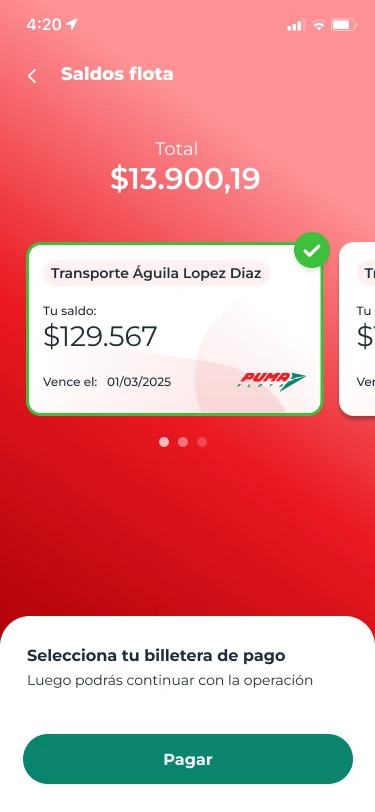 Payment Anim